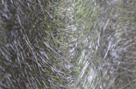 Trencreek fibreglass roof work